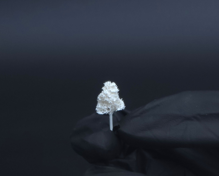 Weißer Modellbau Baum für Architekturmodelle Maßstab 1:1000 und 1:500 Ein kleines, detailreicher Baum auf einem schwarzen Hintergrund.